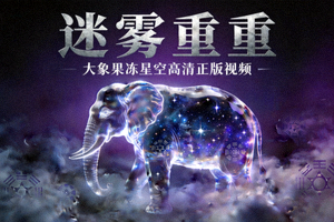 悬疑剧《迷雾重重》海报 - 大象果冻星空高清正版视频